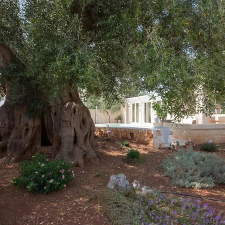 Apartamento Terra Mater - Exclusive - Ostuni