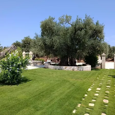 Terra Mater - Exclusive - * Ostuni