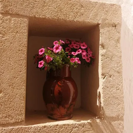 Terra Mater - Exclusive - Affittacamere Ostuni