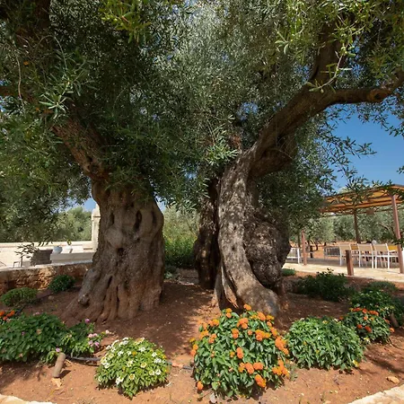 Terra Mater - Exclusive - בית הארחה 4*